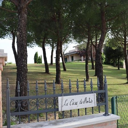 Torre San Patrizio La Casa De Anto' 아파트 외부 사진